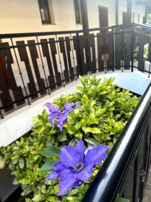 Spacious Fully Furnished Studio In Kavarna Apart Hotel エクステリア 写真